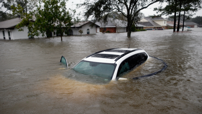 Illustration for article titled Seven Easily Avoidable Ways To Die In A Hurricane